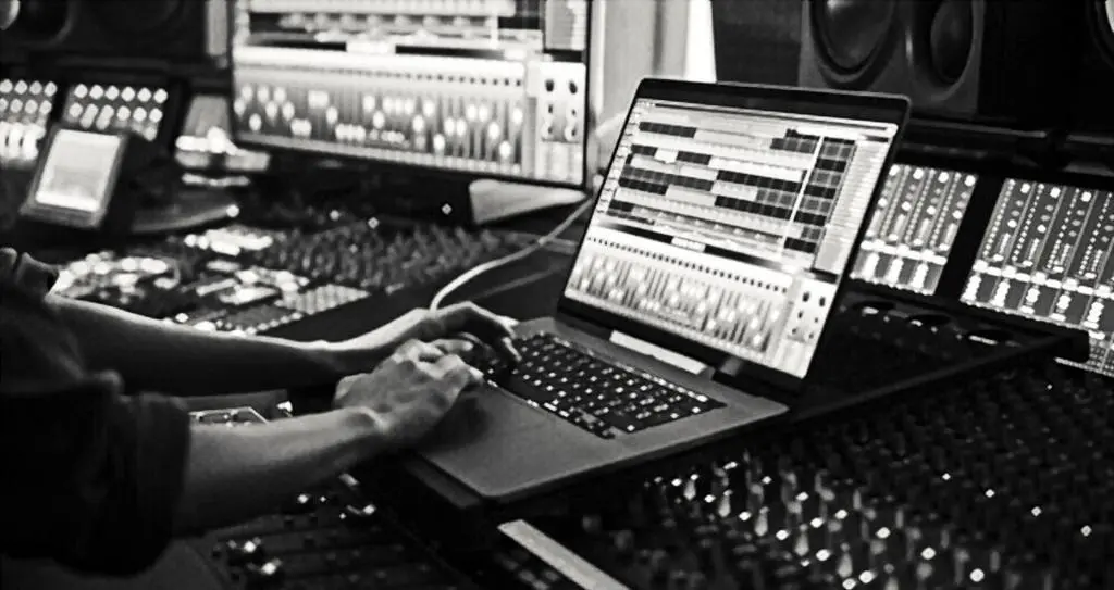 Stems are often labeled and organized by instrument or sound, making it easier to locate and work with specific elements of a mix.