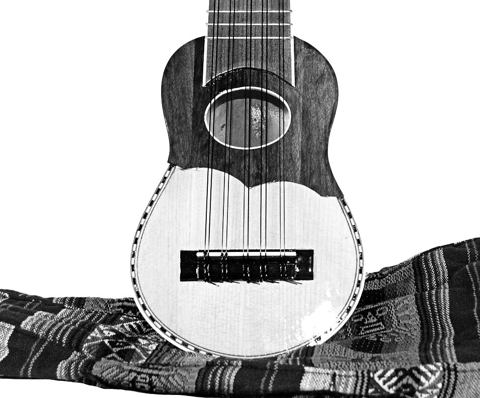 What is Charango? The Definition for Charango